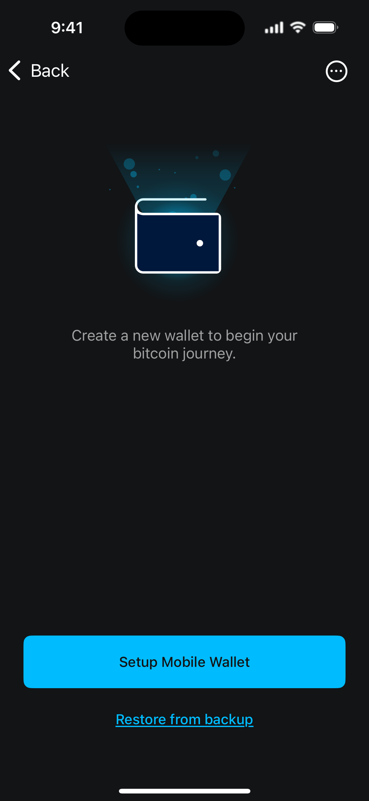 setup_mobile.PNG
